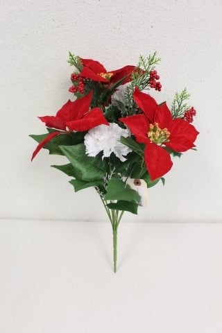 2025 Xmas - Poinsettia