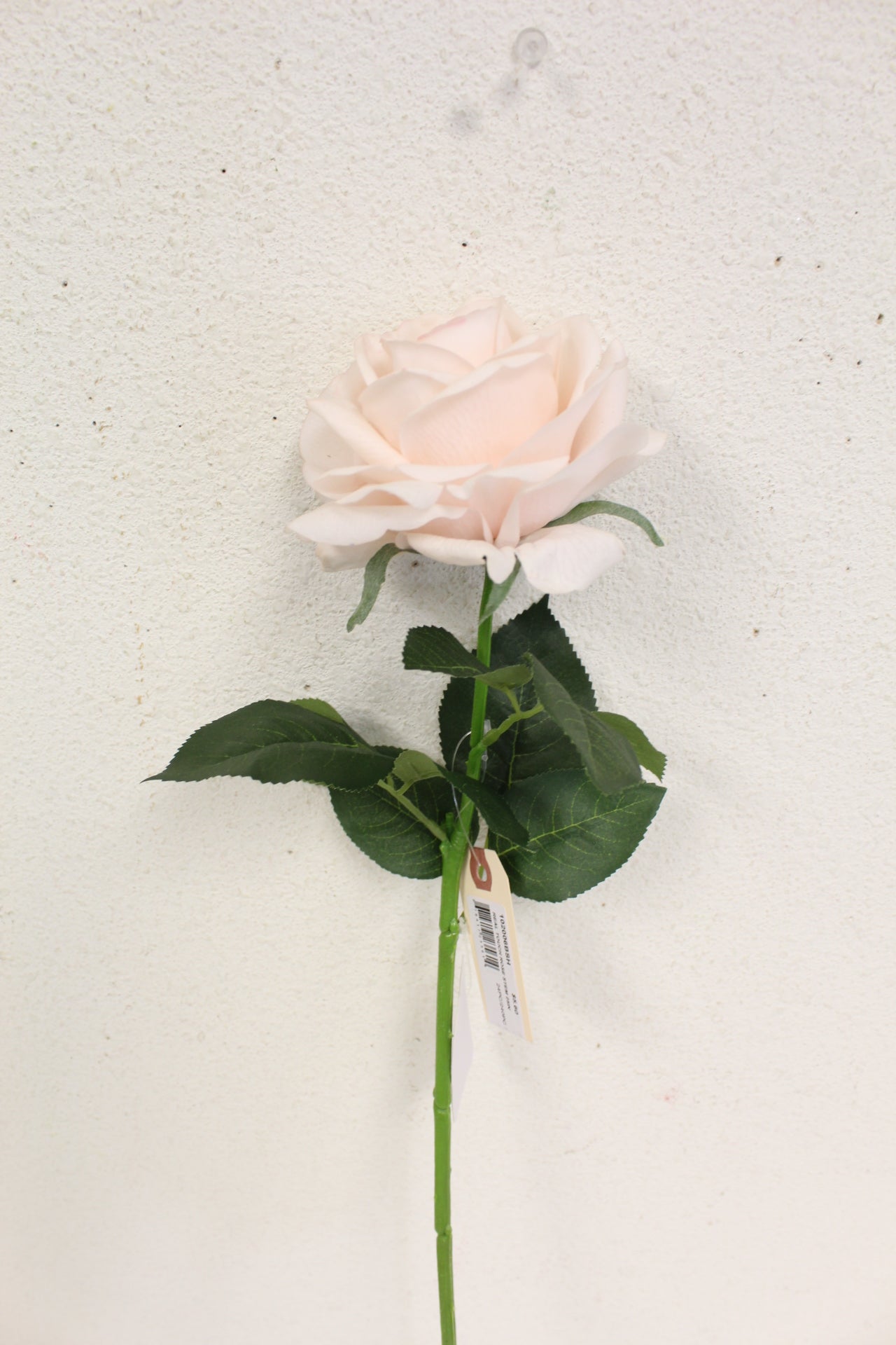 2026 Spring Flower Stems
