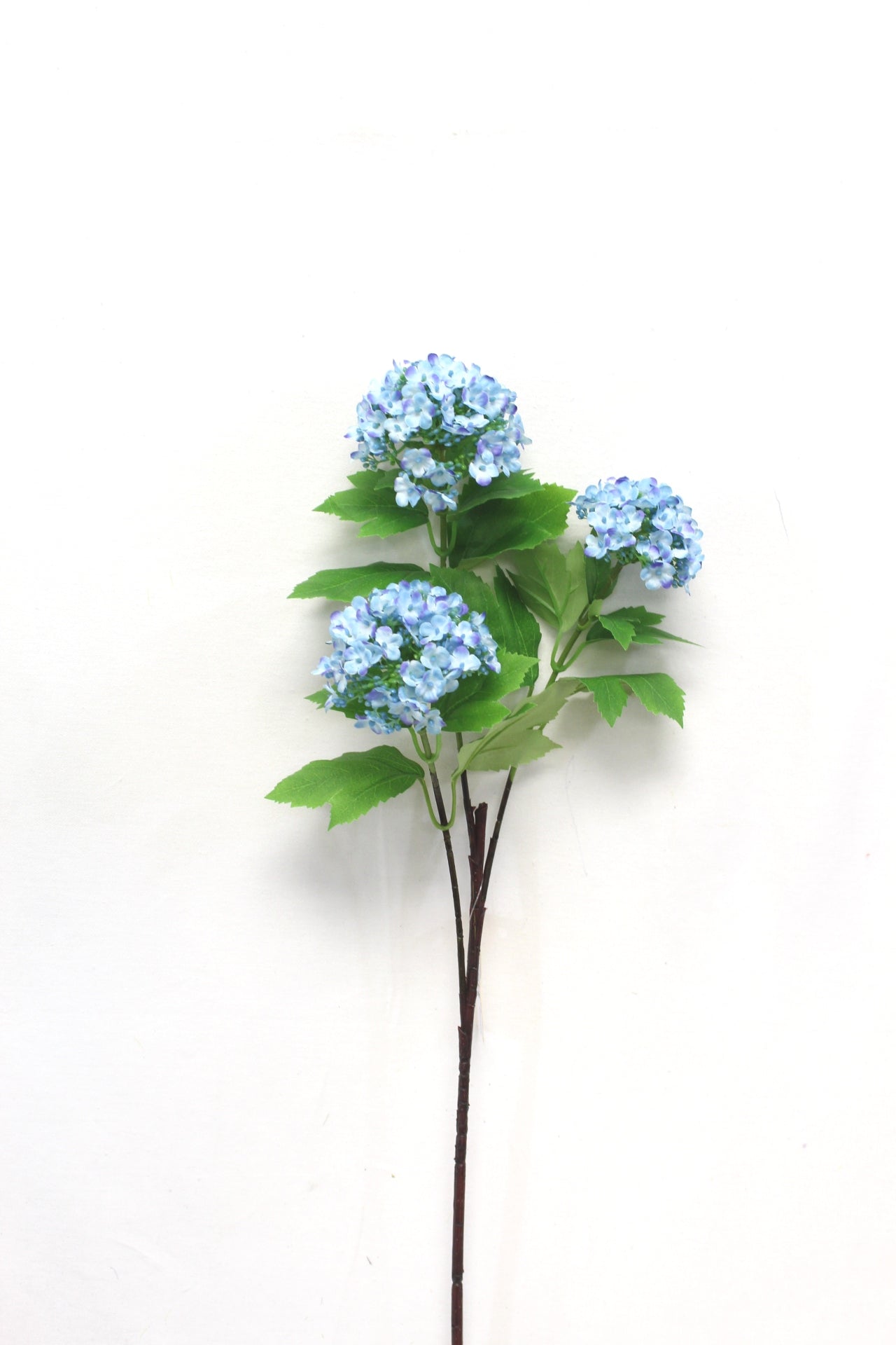 2025 Flower Stems