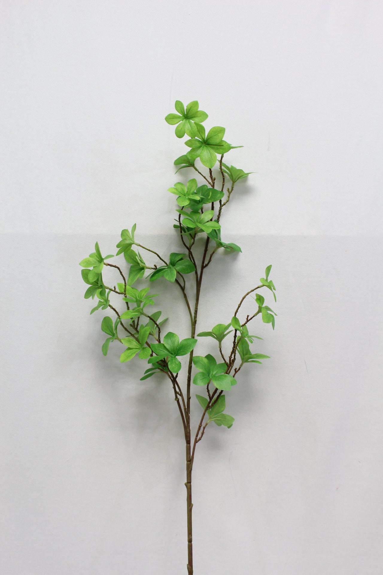 2025 Foliage & Greenery