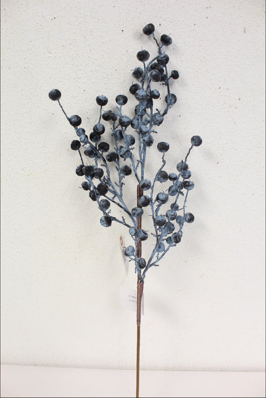 2026 Fall - Berry Sprays & Bushes