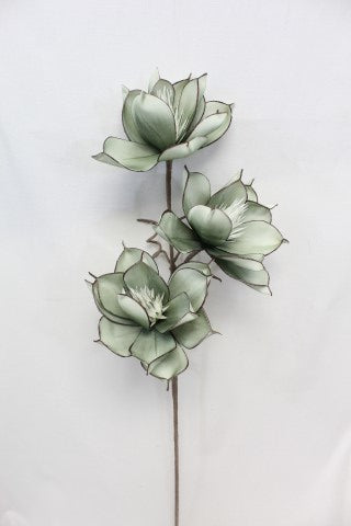 2025 Foam Flower