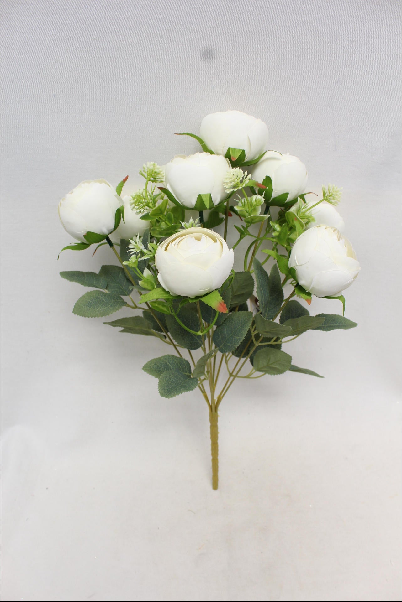 305006CR