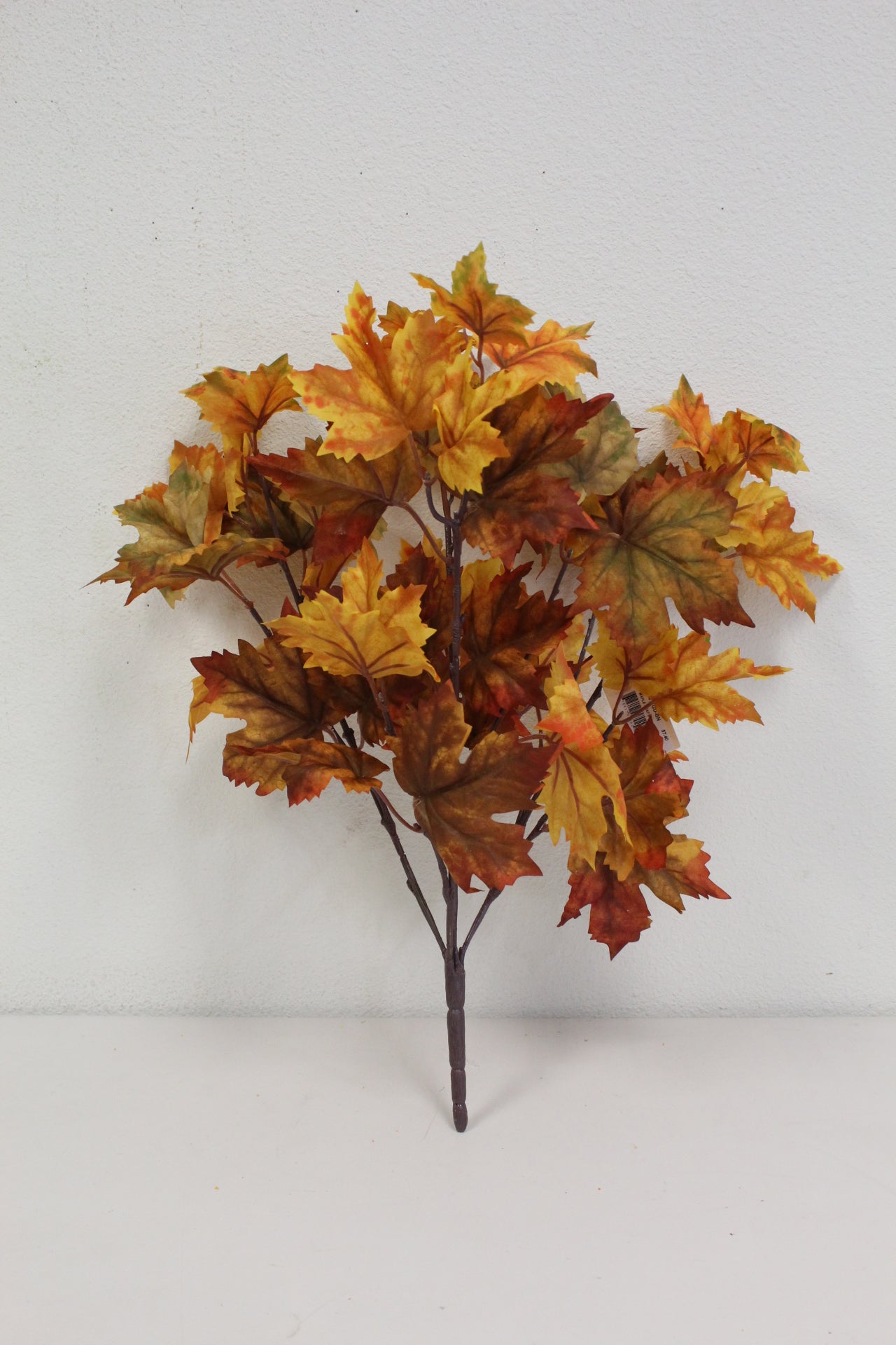 Previous Popular Fall Stems & Bushes