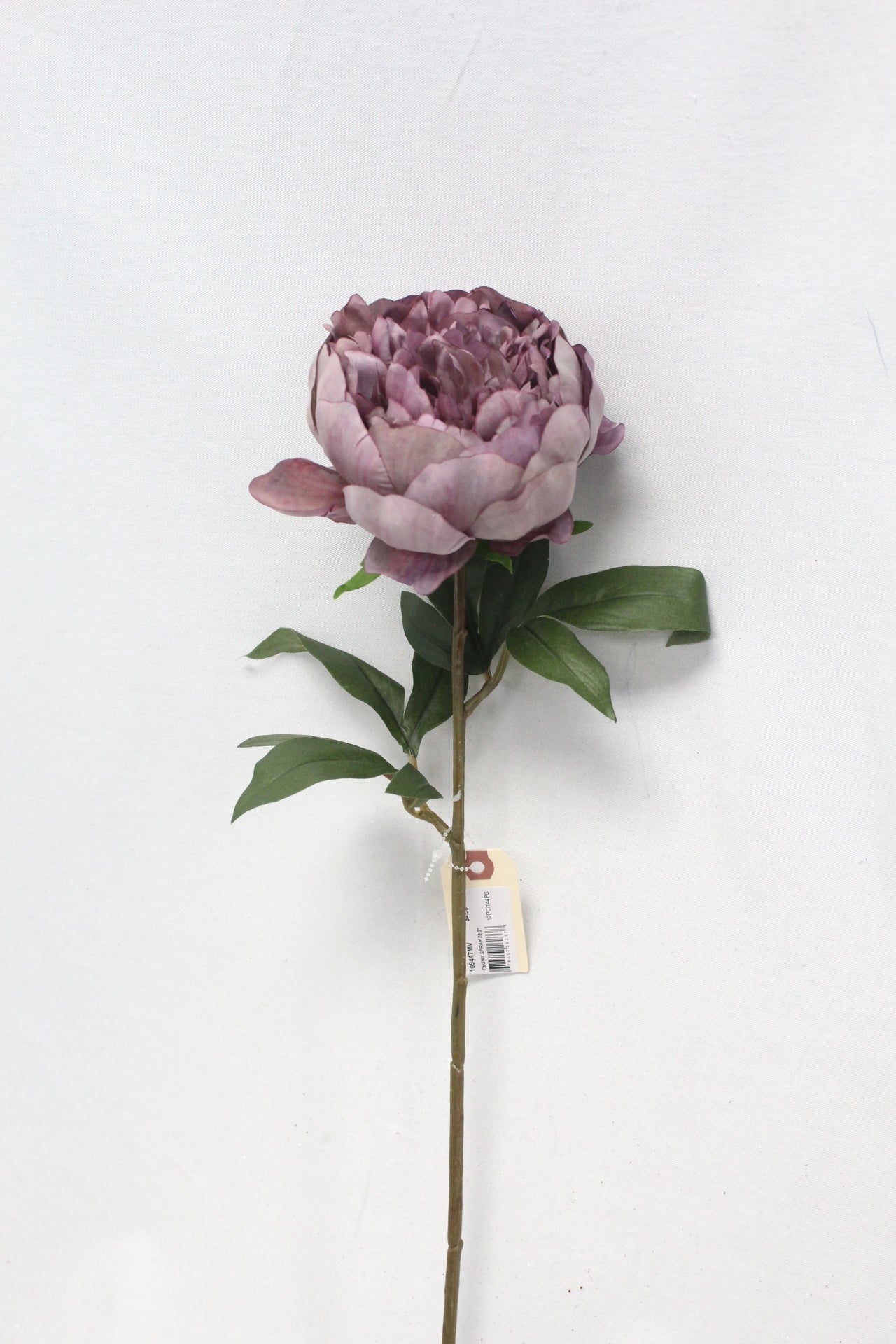 2024 Stems & Bouquets