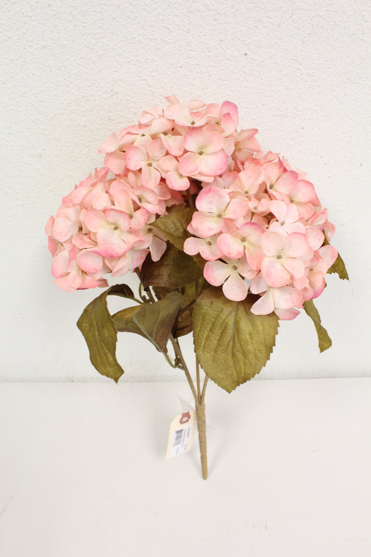 Fall 2023 Stems & Bushes Collection