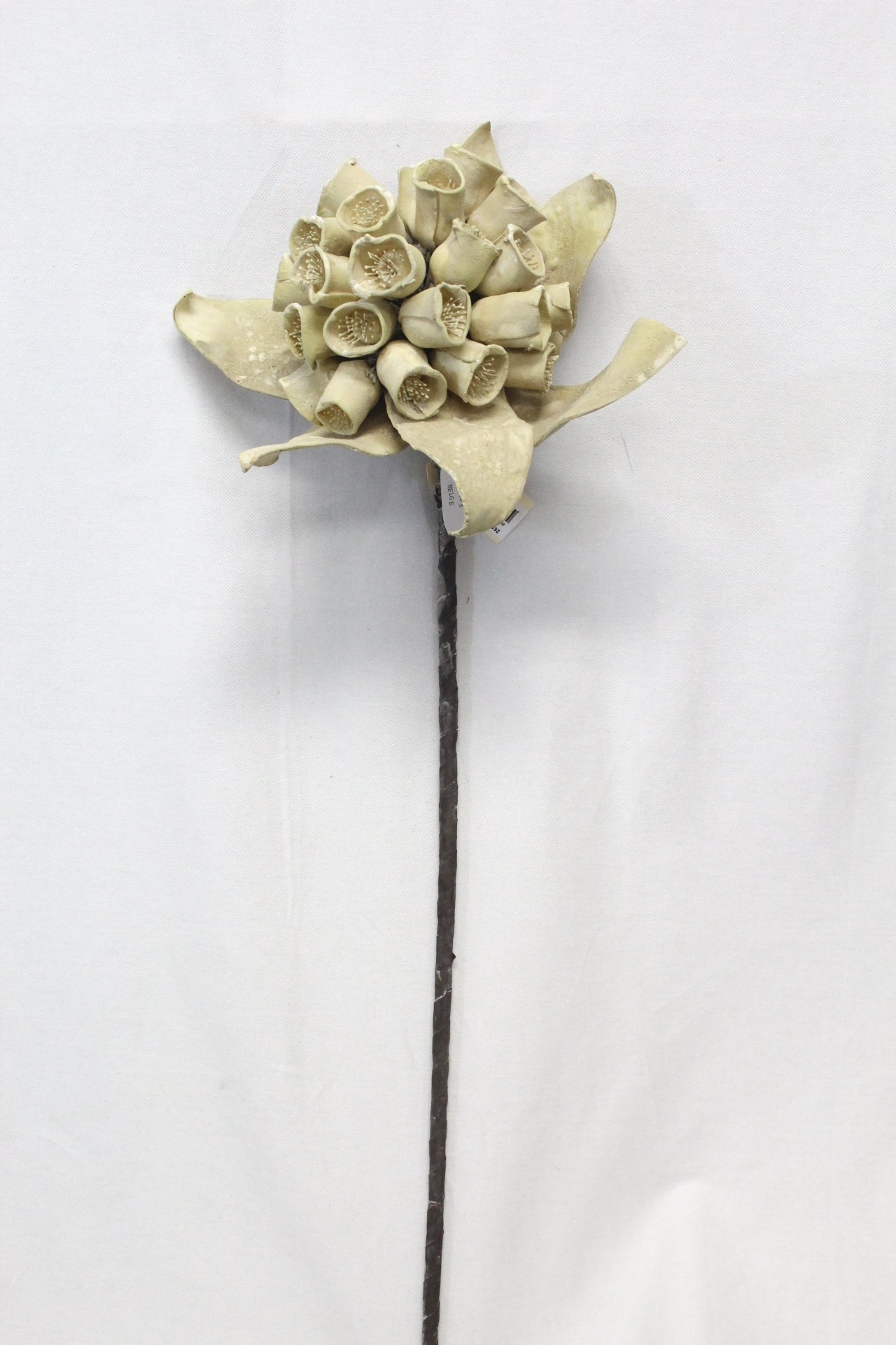 2024 Foam Flowers